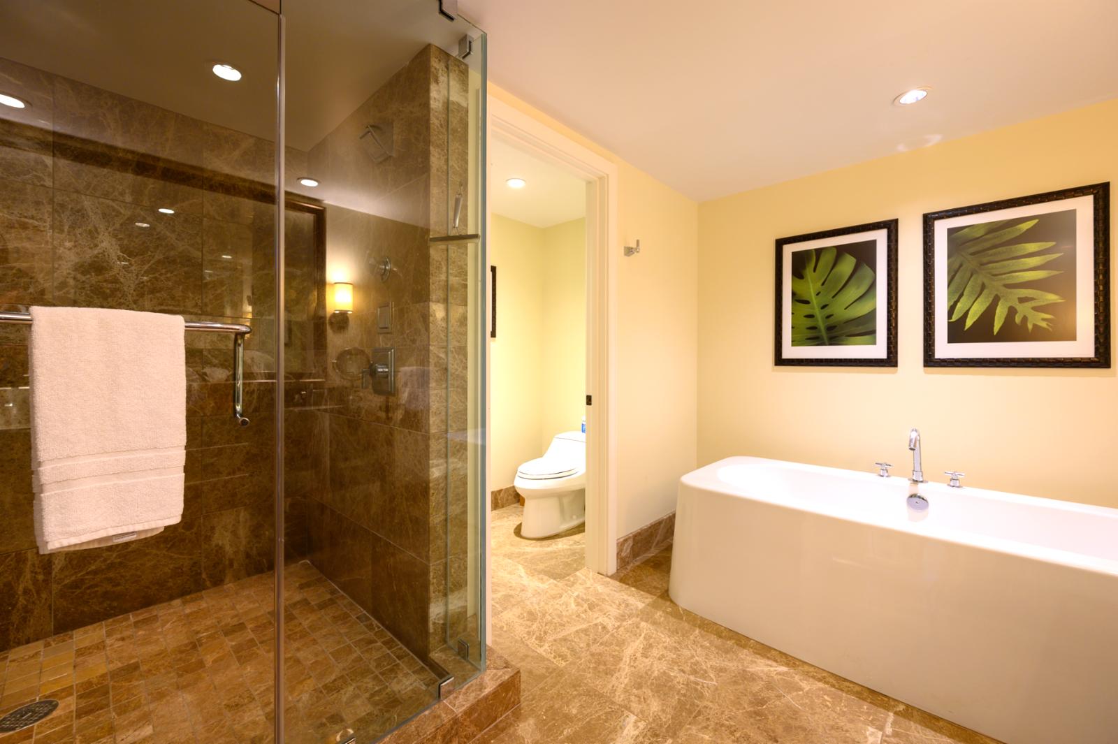 Oversized layout with glass enclosed shower and tub combination