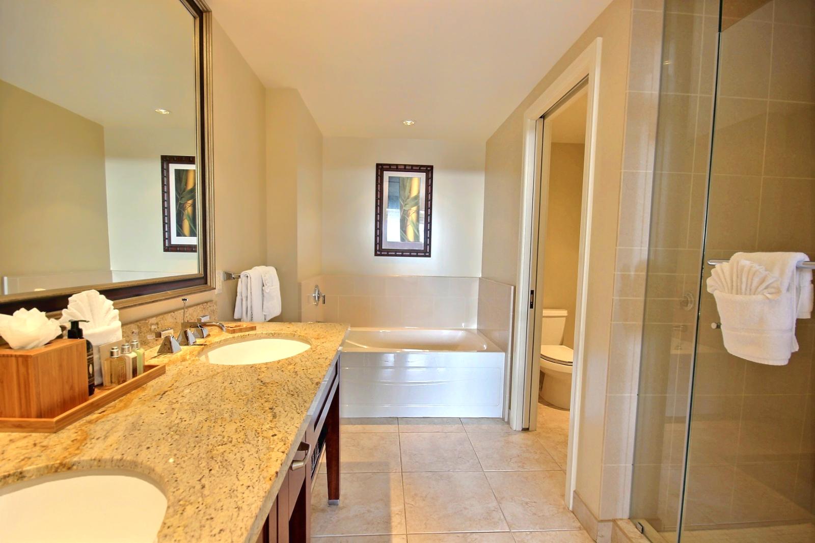 Large master bathroom with separate shower, tub and water closet. 