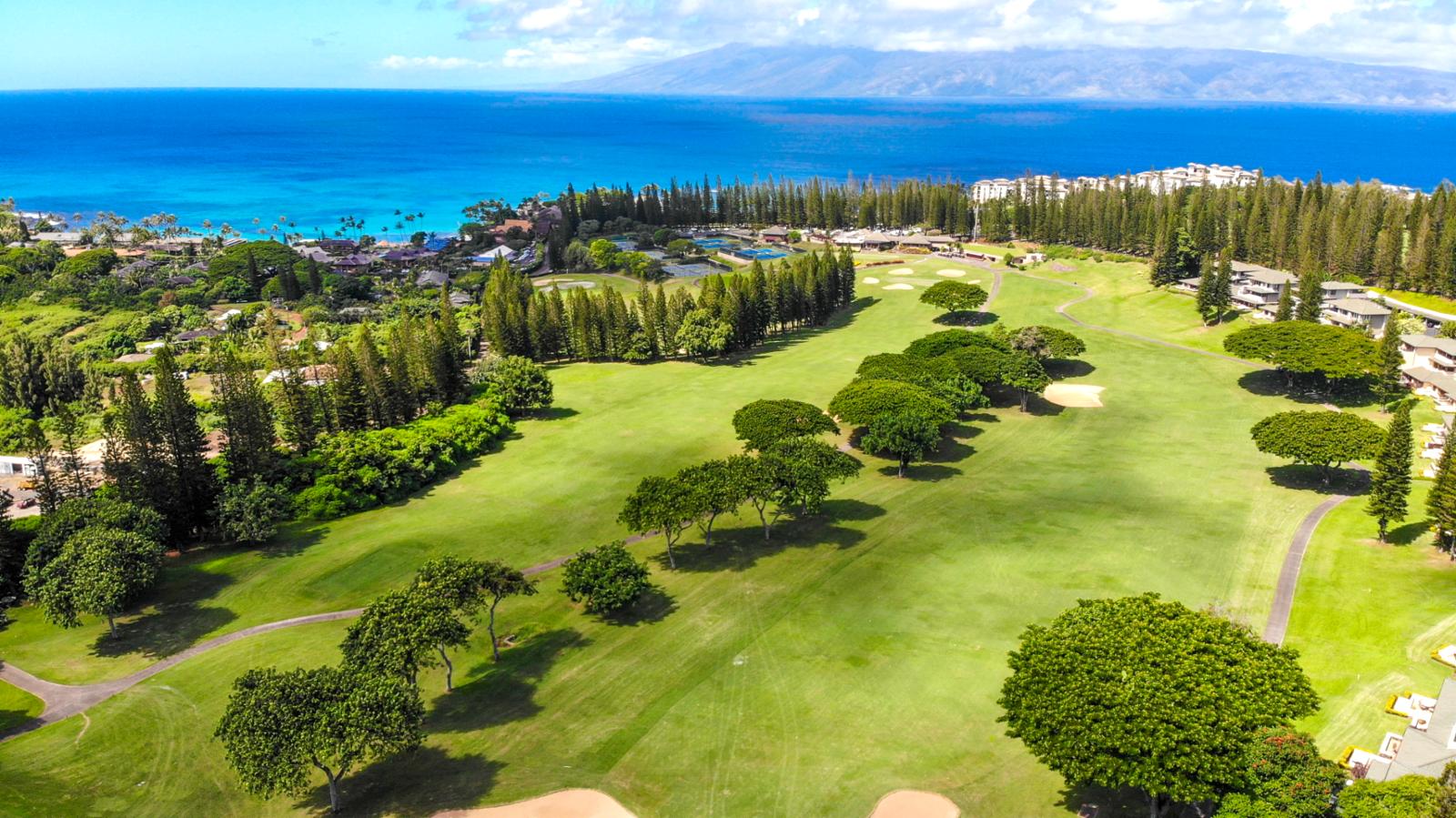 Welcome to the World Famous Kapalua Resort!