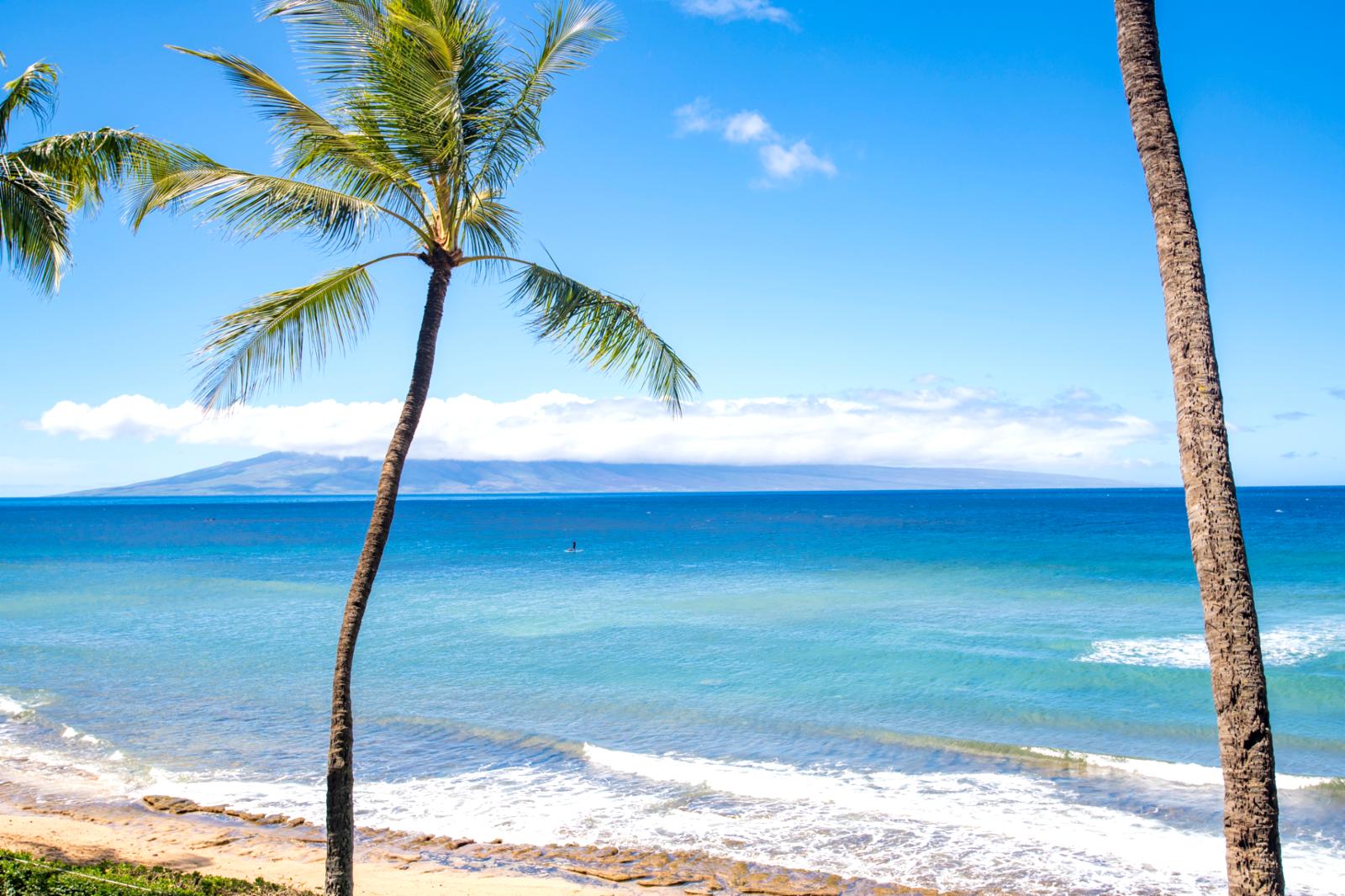 Welcome to The Mahana, where dreams come true!