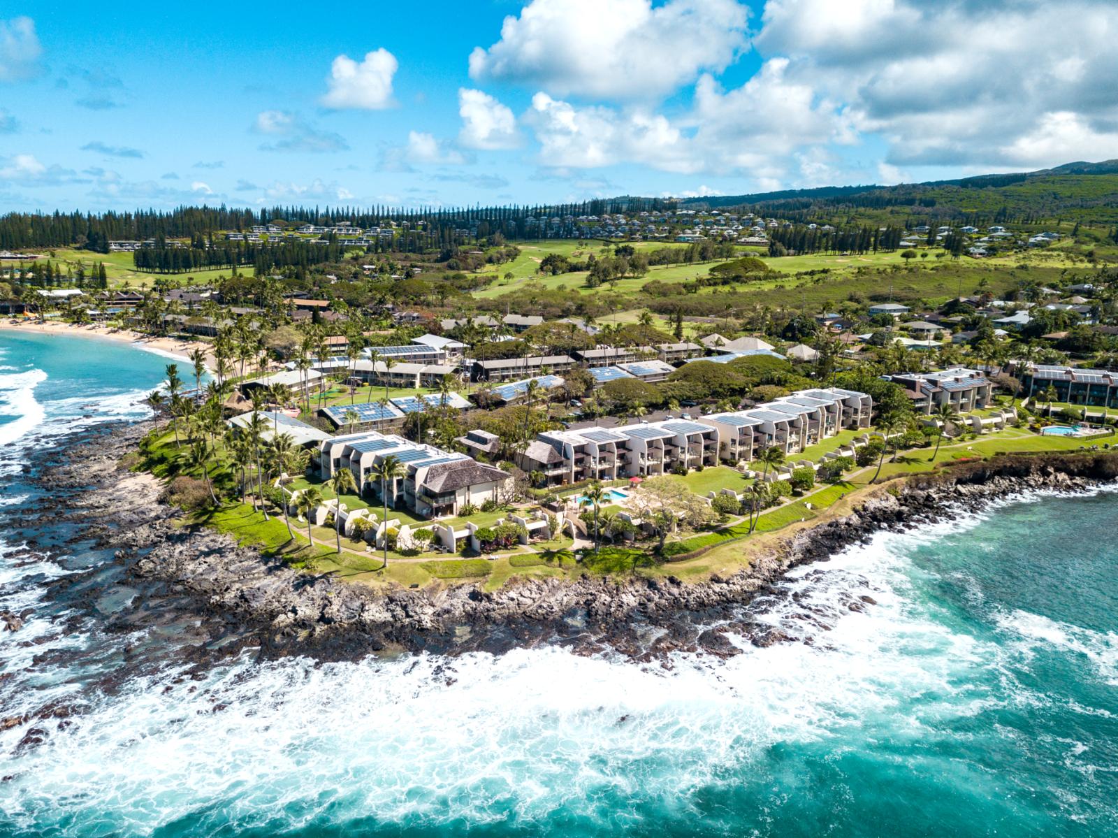 Welcome to Napili Point Resort! 