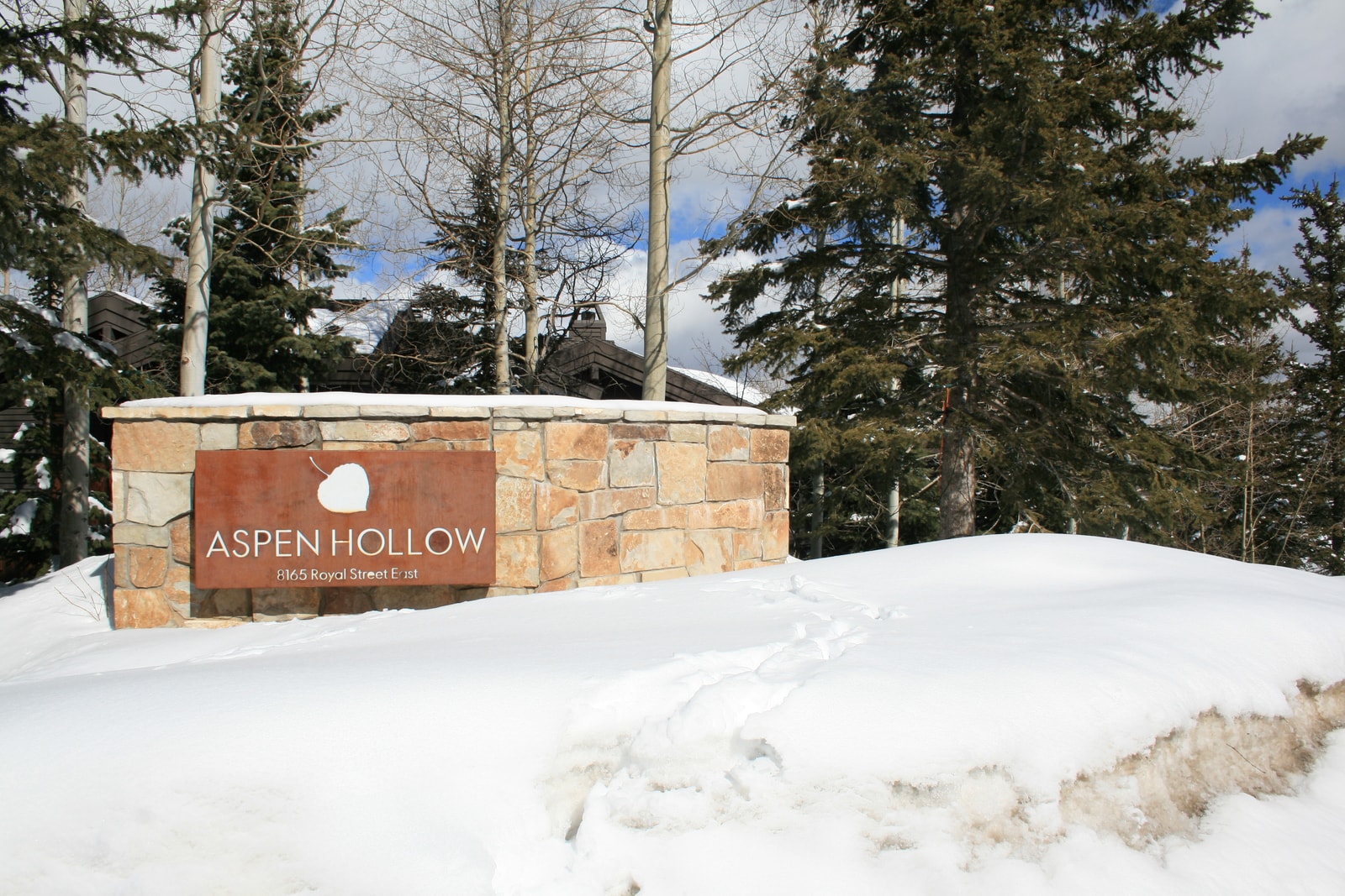 Aspen Hollow