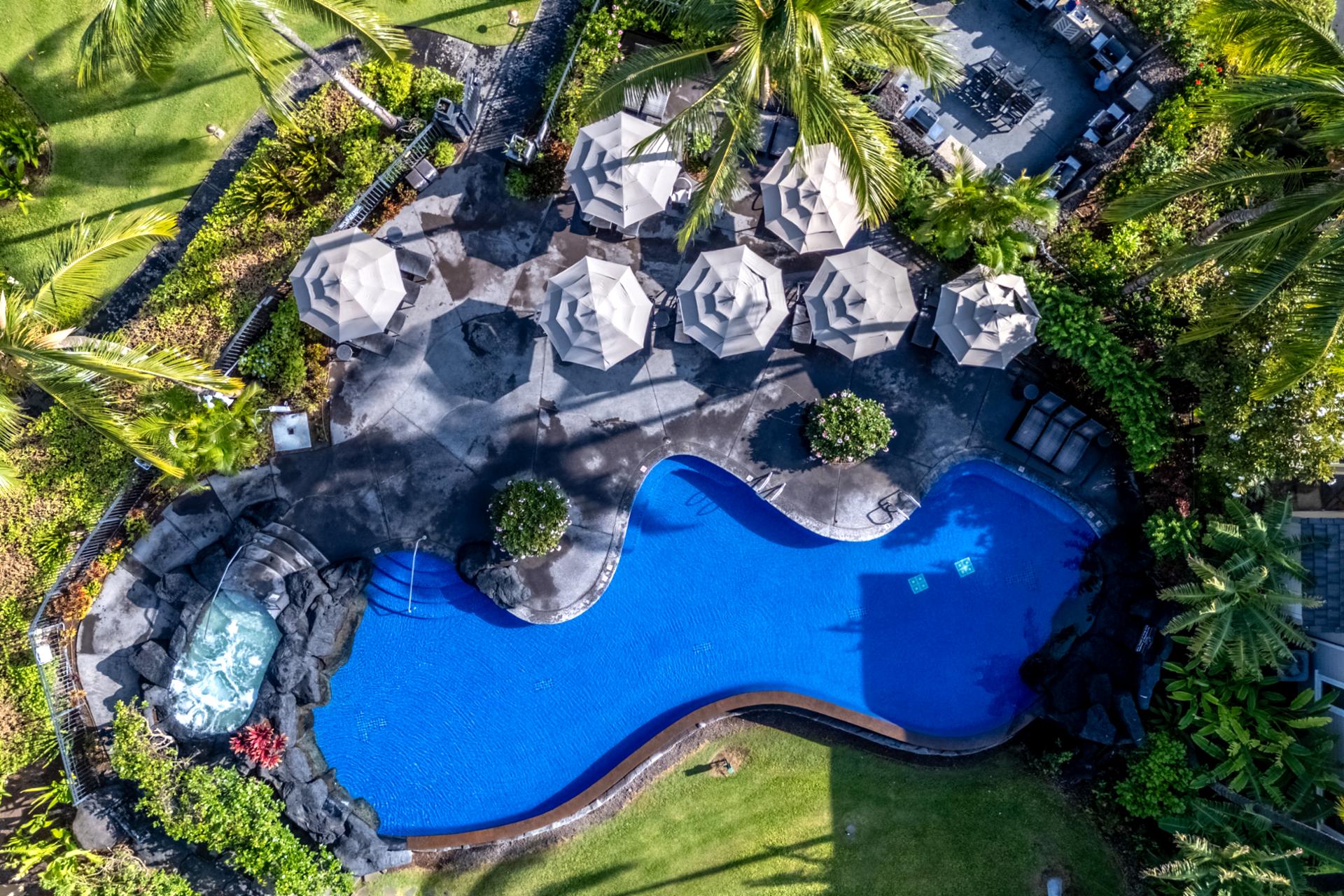 Soak up the sun or lounge in the shade beside this curved resort pool lined with swaying palms and umbrellas.