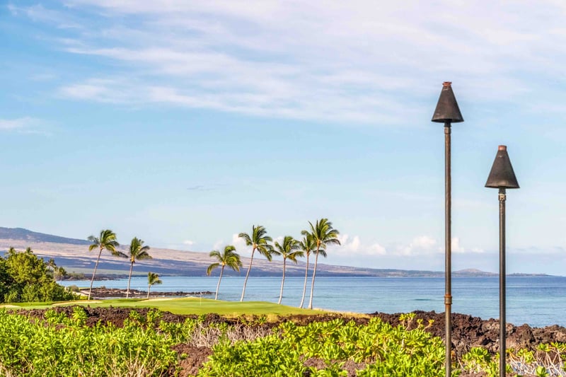 The view from Hali‘i Kai offers a symphony of nature—palm trees swaying, waves rolling in, and the horizon dancing in the distance.