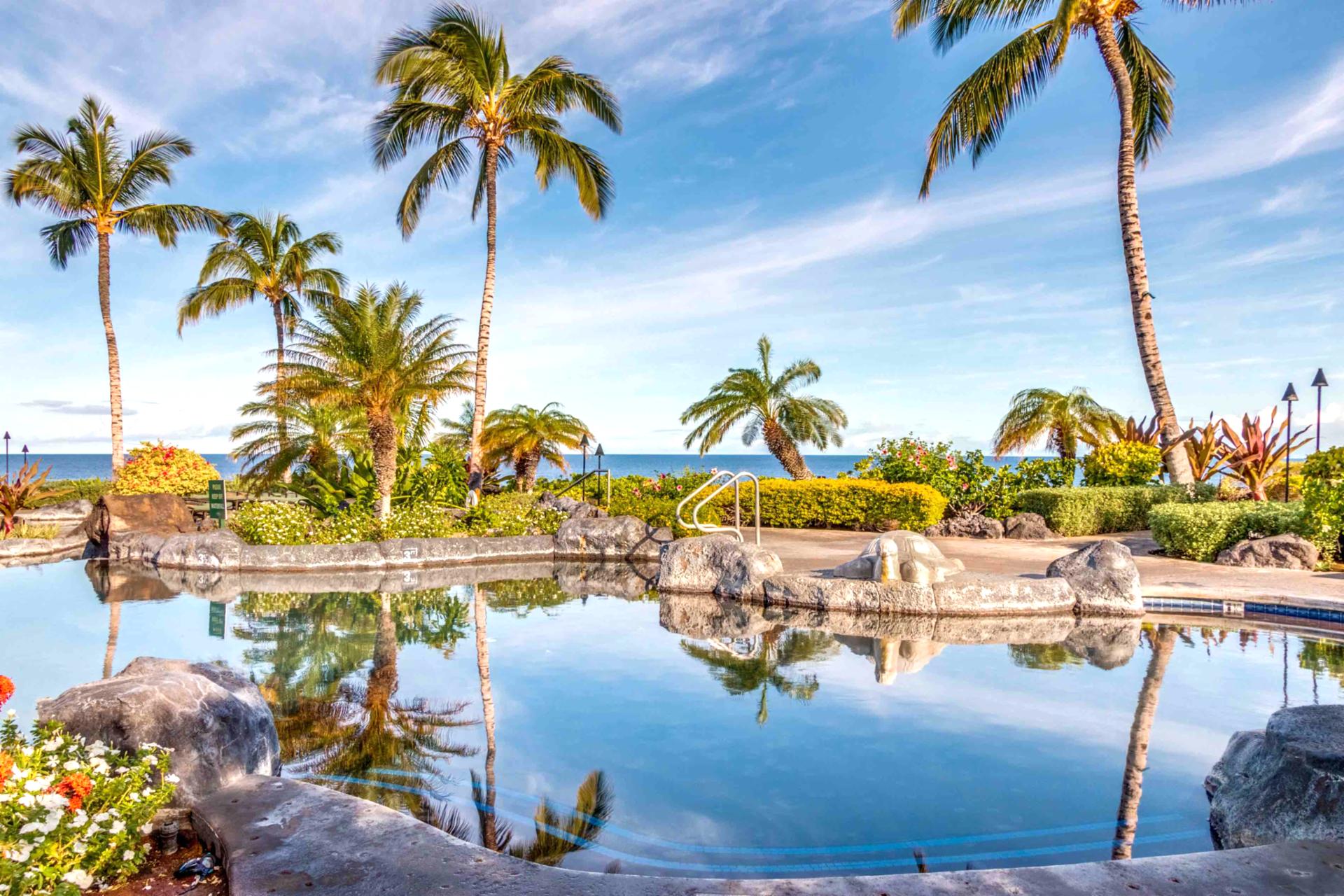 Palm trees frame this tropical oasis, offering shade and style. The pool at Hali‘i Kai is where luxury meets aloha.