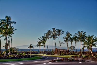 Arrive in paradise with sweeping ocean views, perfectly manicured grounds, and iconic Big Island palm-lined roads