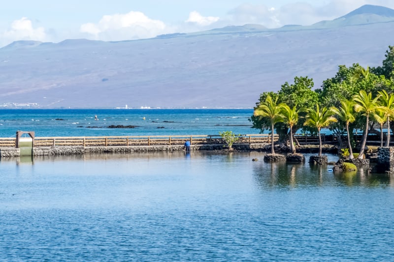Serene bay views with swaying palms and mountain backdrops create a peaceful tropical escape