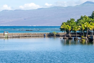 Serene bay views with swaying palms and mountain backdrops create a peaceful tropical escape