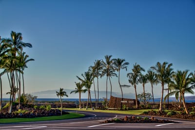 Arrive through a grand entrance surrounded by tropical beauty