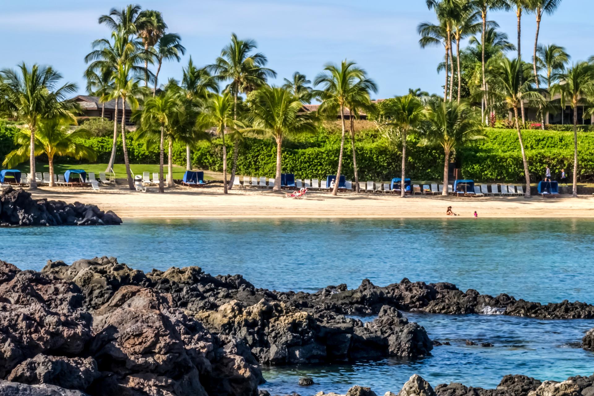 Walk along a peaceful shoreline framed by palms and lava rock