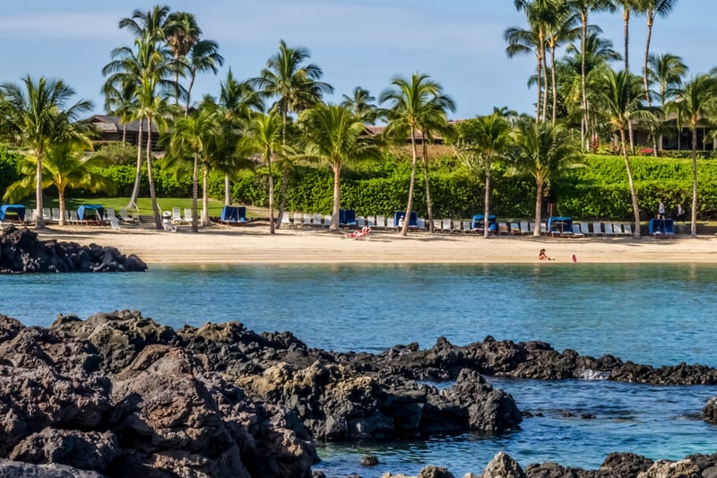 Walk along a peaceful shoreline framed by palms and lava rock