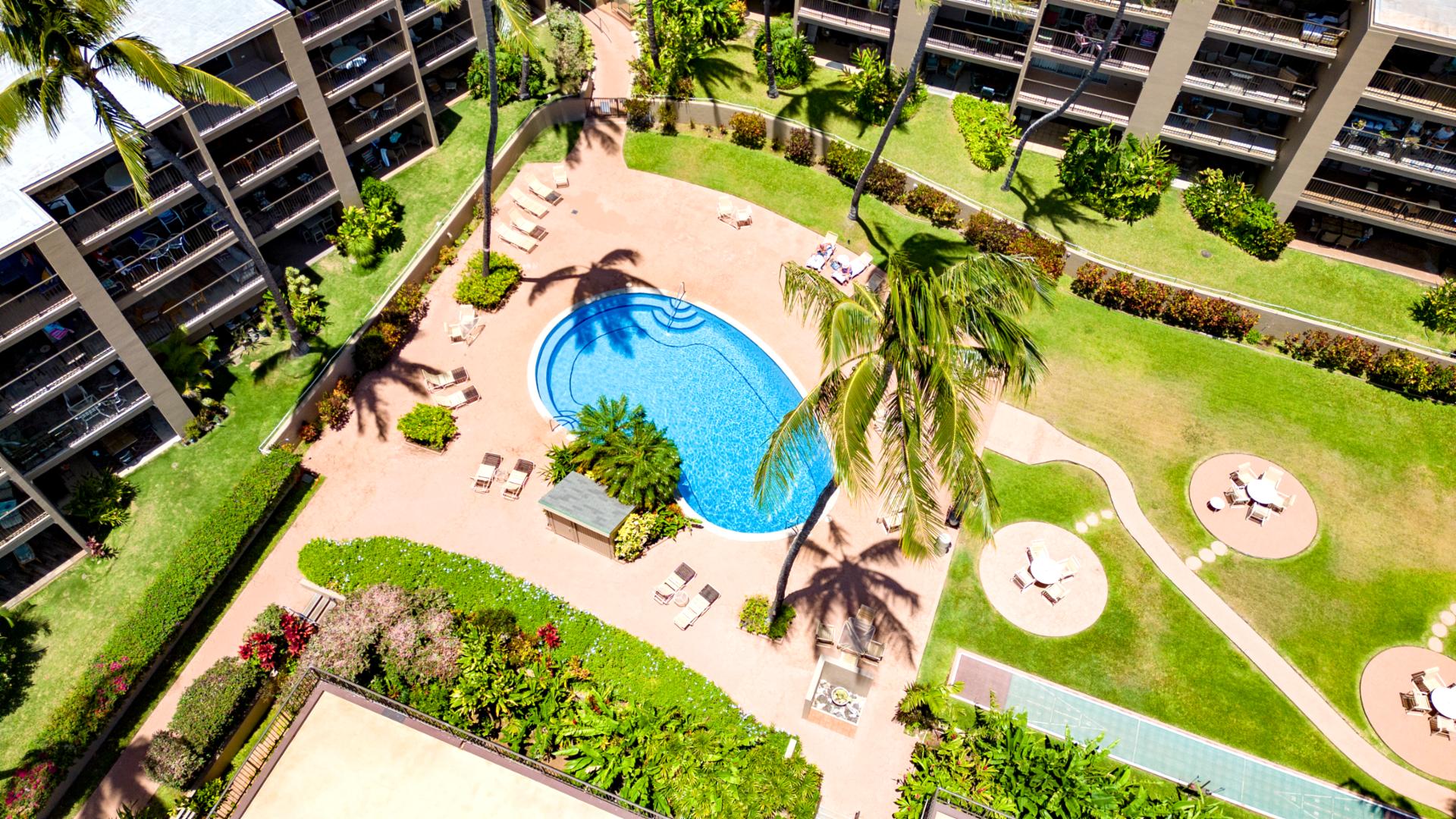 Hale Ono Loa’s tropical pool courtyard offers palm-lined relaxation, crystal blue water & lush Maui landscaping