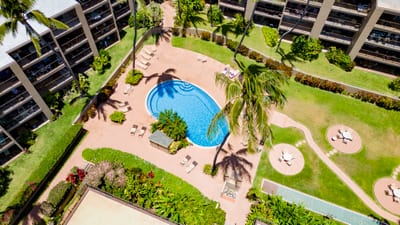 Hale Ono Loa’s tropical pool courtyard offers palm-lined relaxation, crystal blue water & lush Maui landscaping