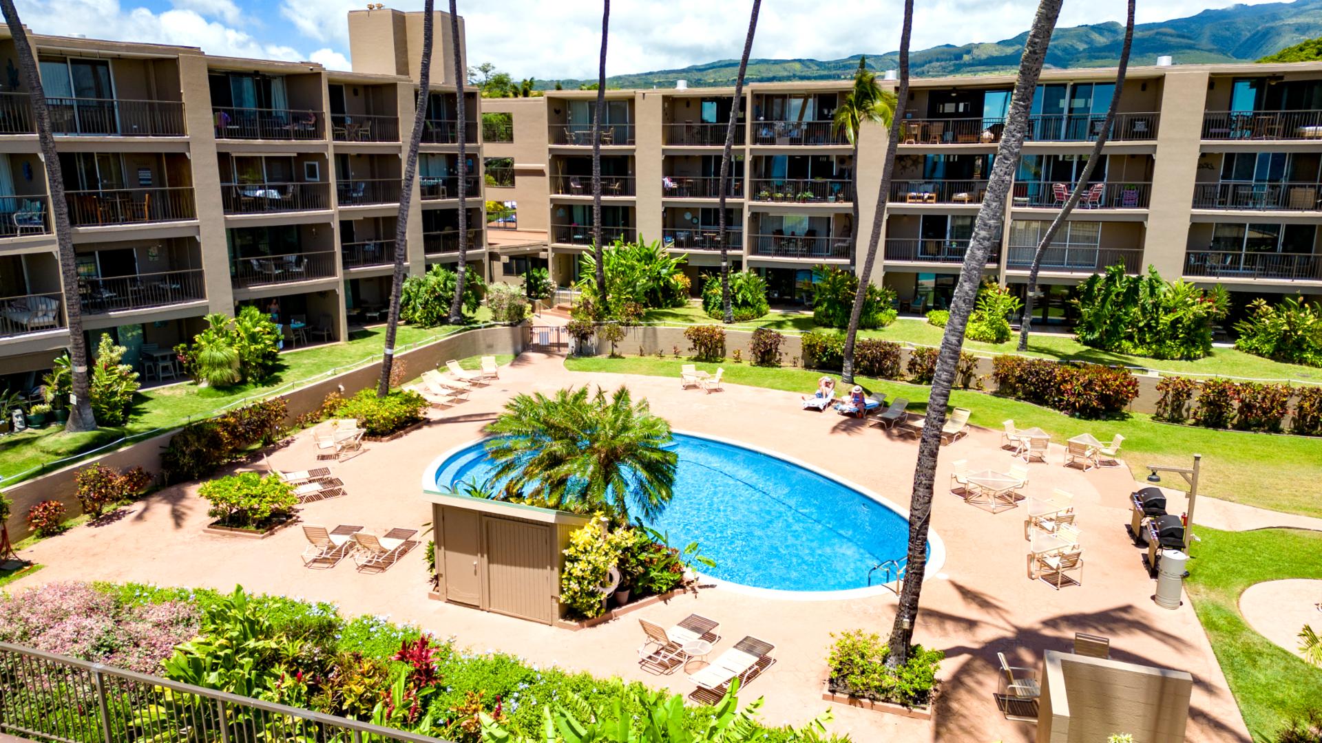 Relax at Hale Ono Loa’s oceanfront pool surrounded by swaying palms, tropical gardens & breathtaking Pacific views