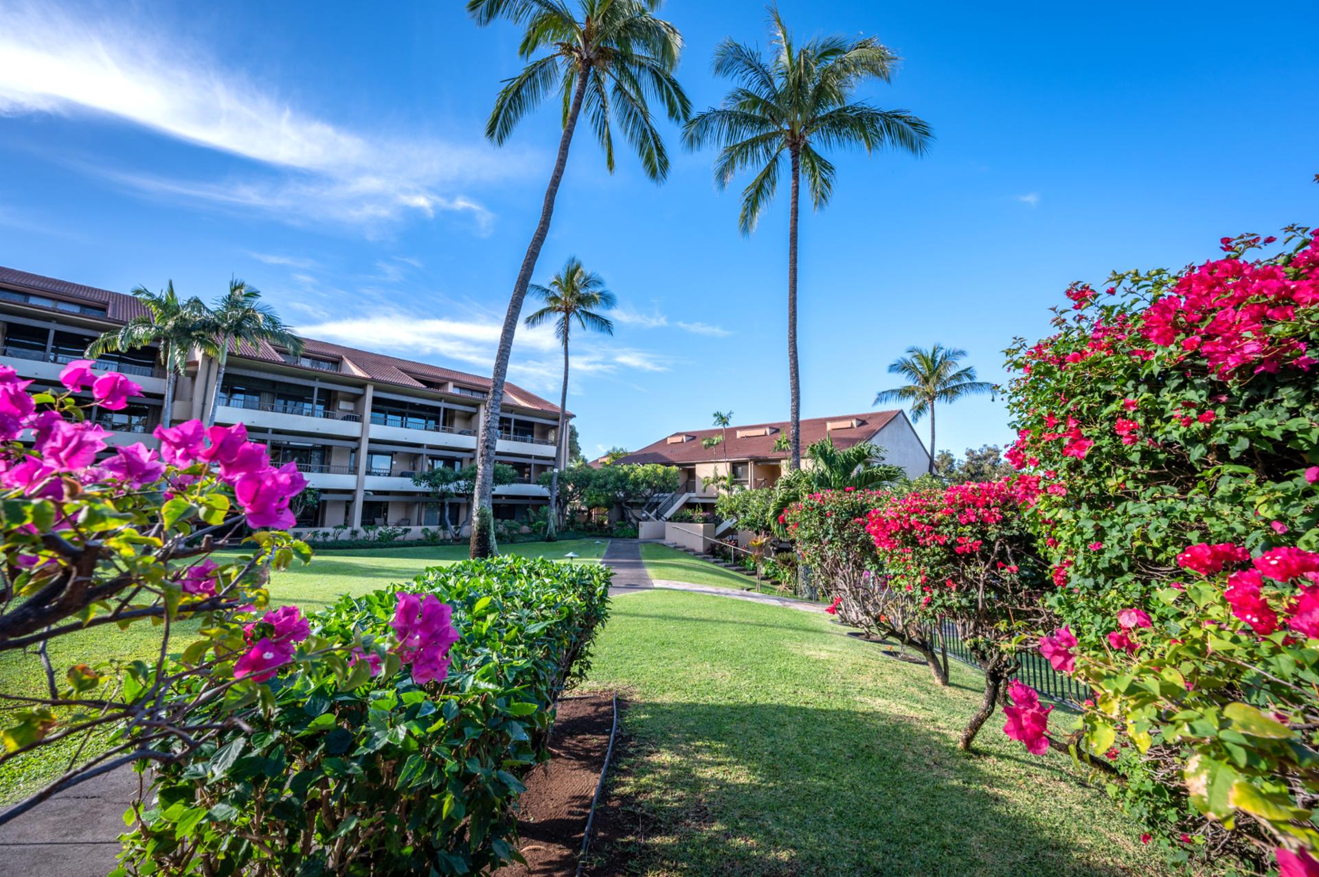 The combination of tropical flora and ocean views makes Kaanapali Royal a feast for the senses. It’s where relaxation and inspiration meet.