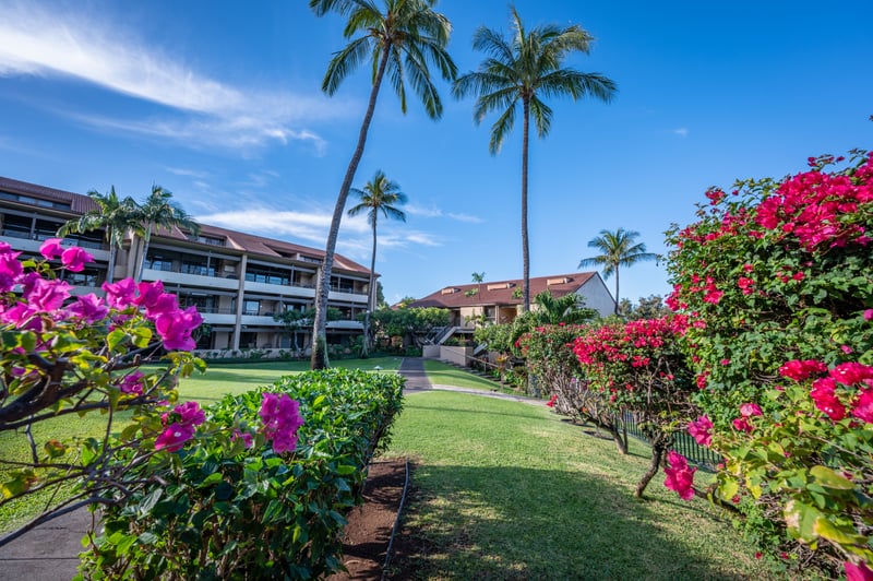 The combination of tropical flora and ocean views makes Kaanapali Royal a feast for the senses. It’s where relaxation and inspiration meet.