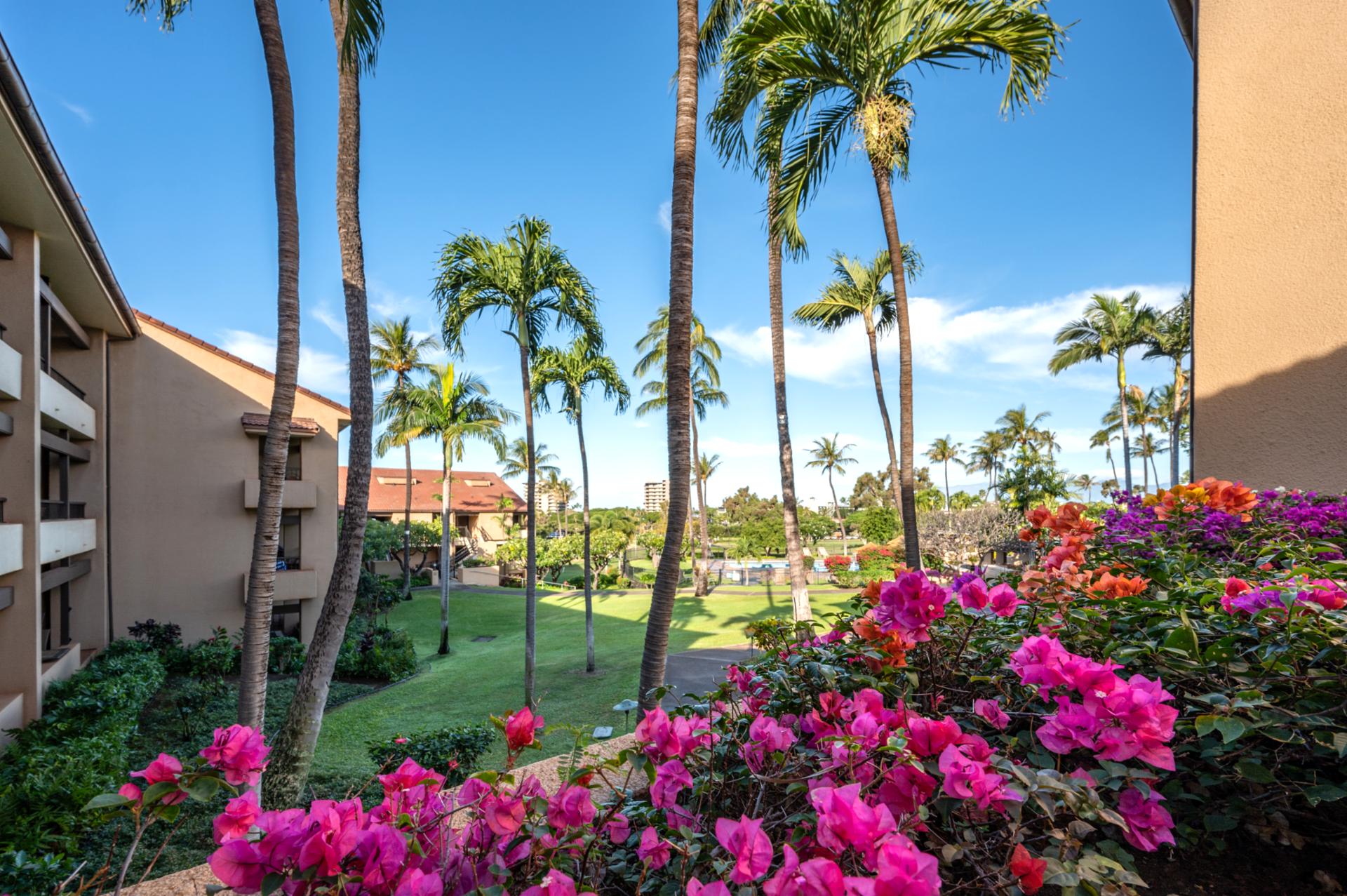 Kaanapali Royal’s location puts you close to the best of Maui’s beaches and activities. It’s a gateway to unforgettable island experiences.