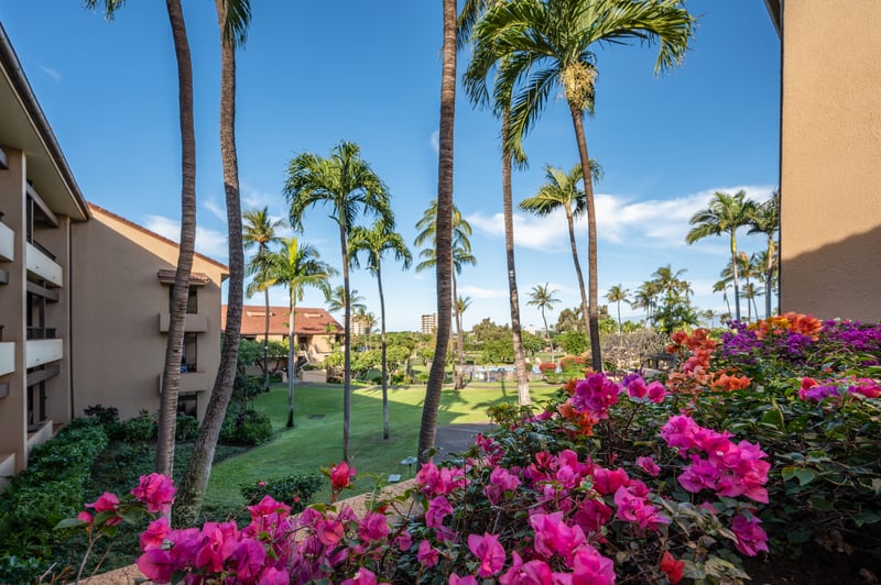 Kaanapali Royal’s location puts you close to the best of Maui’s beaches and activities. It’s a gateway to unforgettable island experiences.