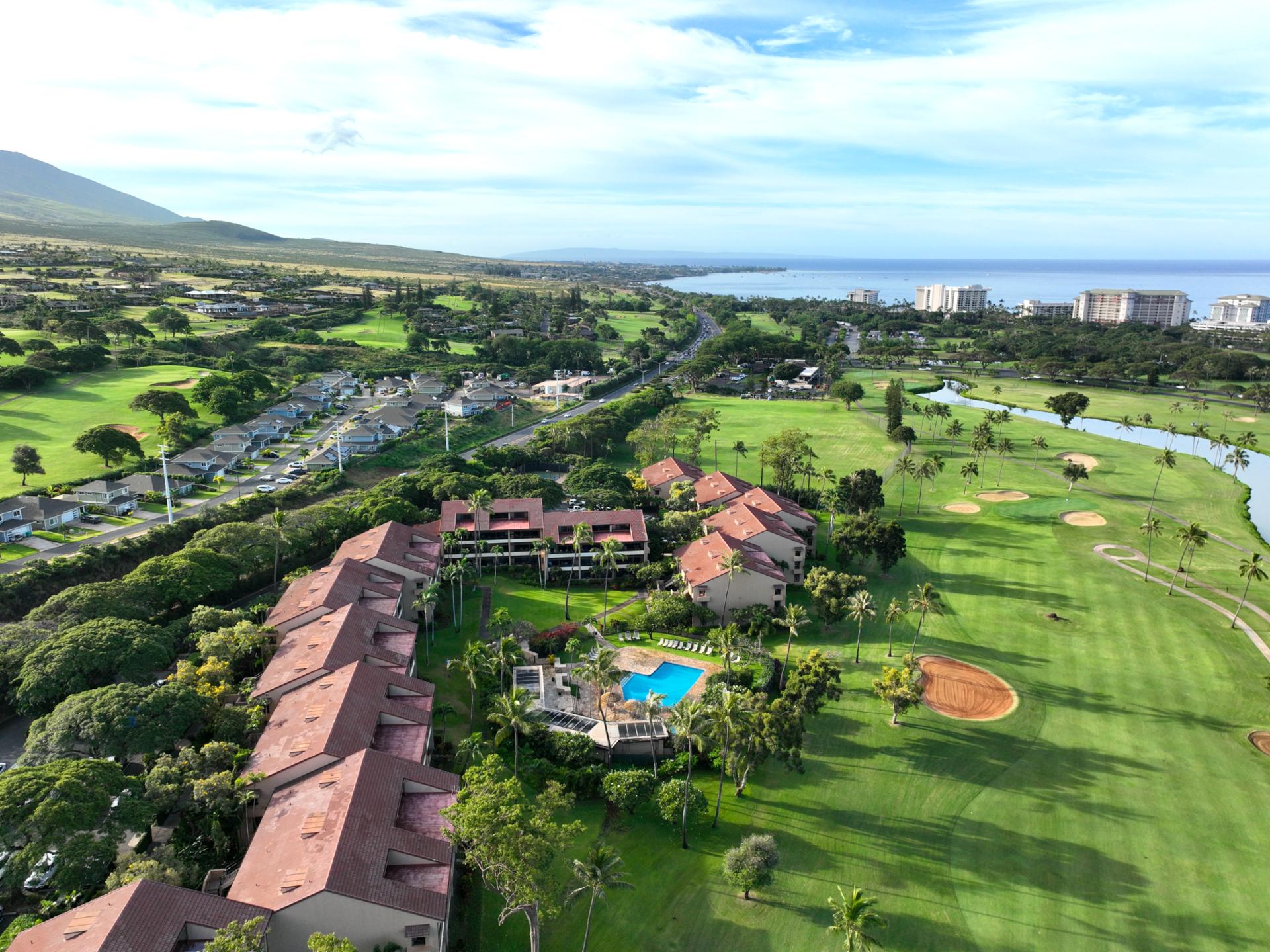 At Kaanapali Royal, every moment feels like a postcard-worthy scene. It’s a destination where beauty is everywhere you look.
