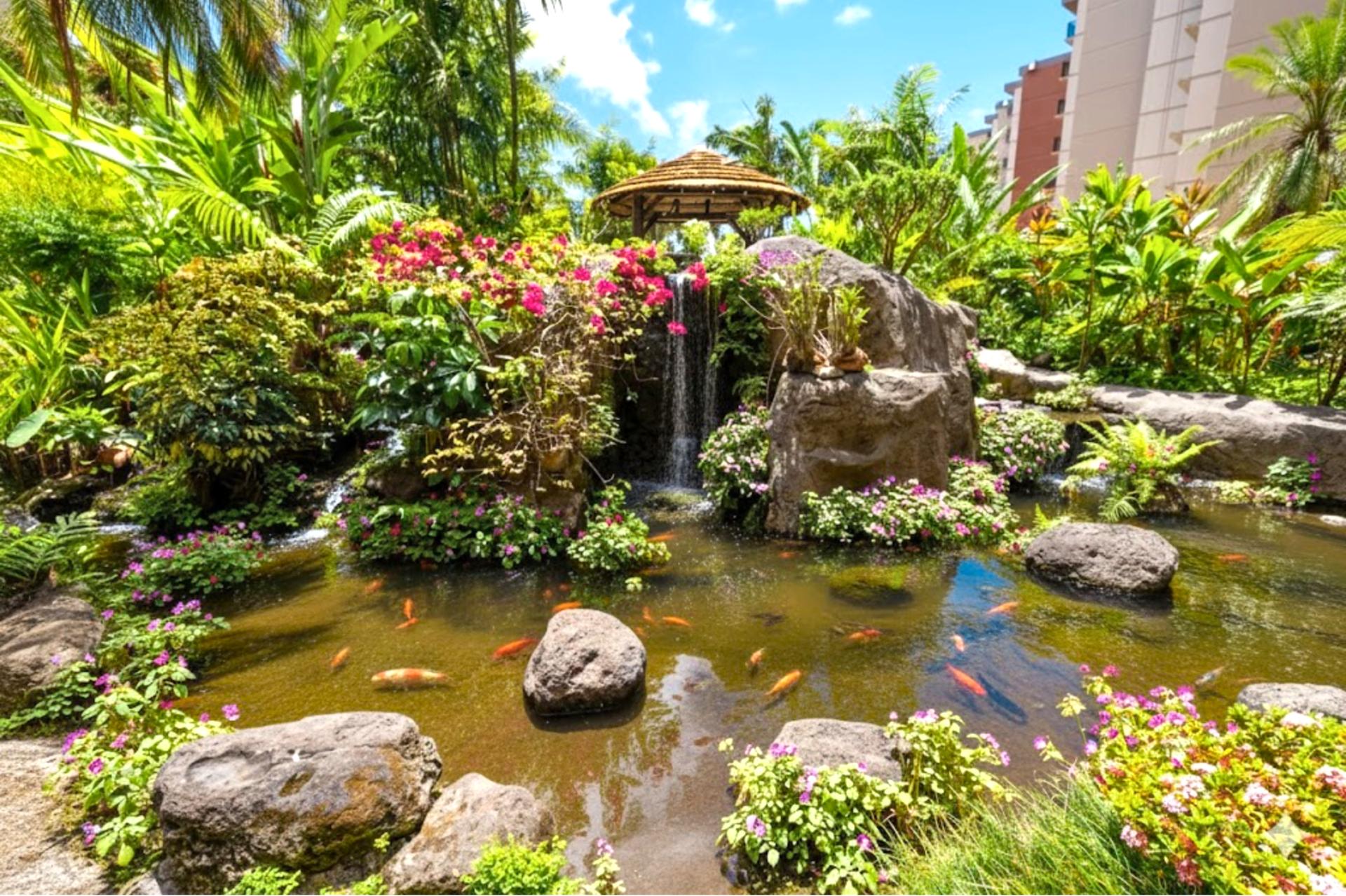 Stroll through Kaanapali Shores lush koi pond and waterfall gardens, offering a peaceful tropical retreat in the heart of Maui.