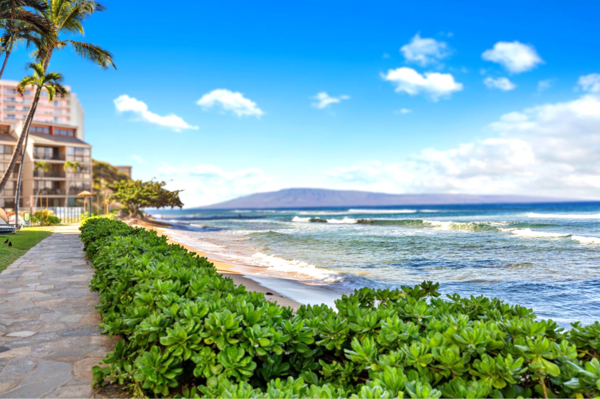 Experience ultimate oceanfront serenity at Kaanapali Shores, where pristine beaches meet luxury Maui accommodations