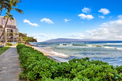 Experience ultimate oceanfront serenity at Kaanapali Shores, where pristine beaches meet luxury Maui accommodations