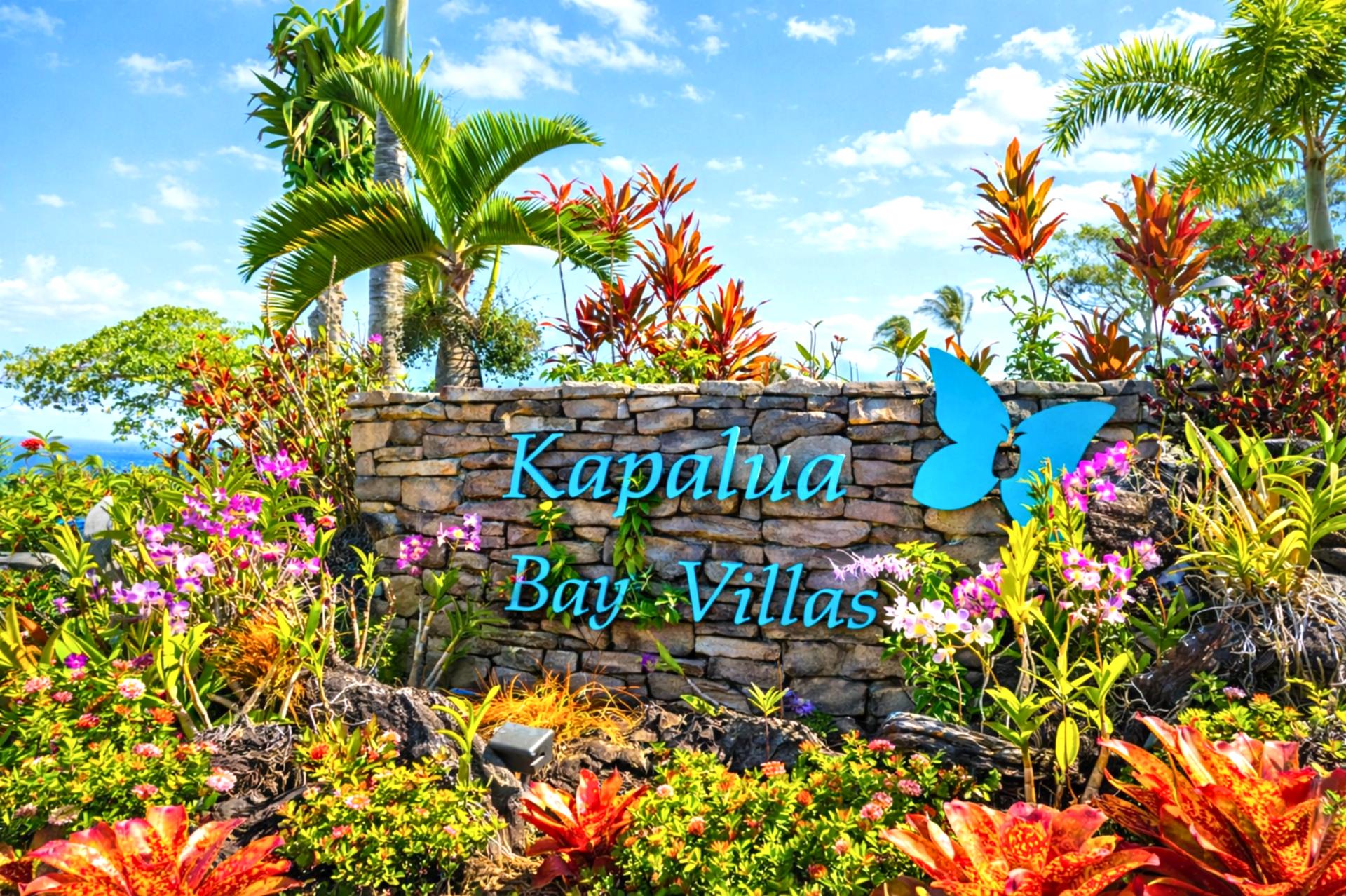 Welcome to Kapalua Bay Villas, a tropical oasis where vibrant gardens and serene beauty welcome you to paradise. Discover your perfect island retreat surrounded by colorful blooms and lush greenery.