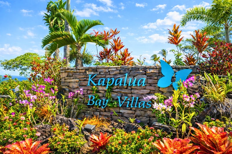 Welcome to Kapalua Bay Villas, a tropical oasis where vibrant gardens and serene beauty welcome you to paradise. Discover your perfect island retreat surrounded by colorful blooms and lush greenery.
