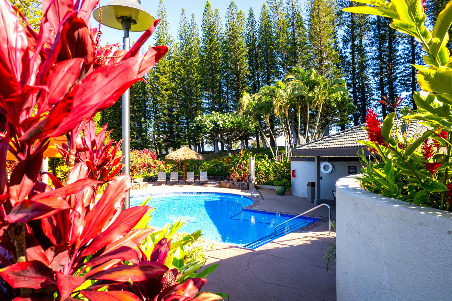 The sparkling pool at Kapalua Golf Villas offers a refreshing oasis surrounded by tropical palms. It is the perfect spot to cool off and unwind after a day of island adventures.