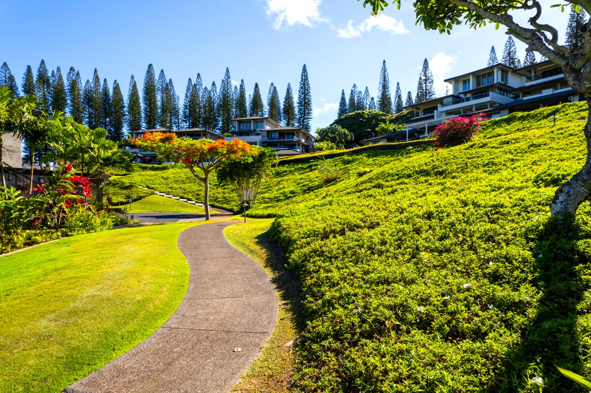 The natural beauty of Kapalua Golf Villas is enhanced by thoughtful landscaping that blends seamlessly with the island environment. It’s a green paradise at every turn.