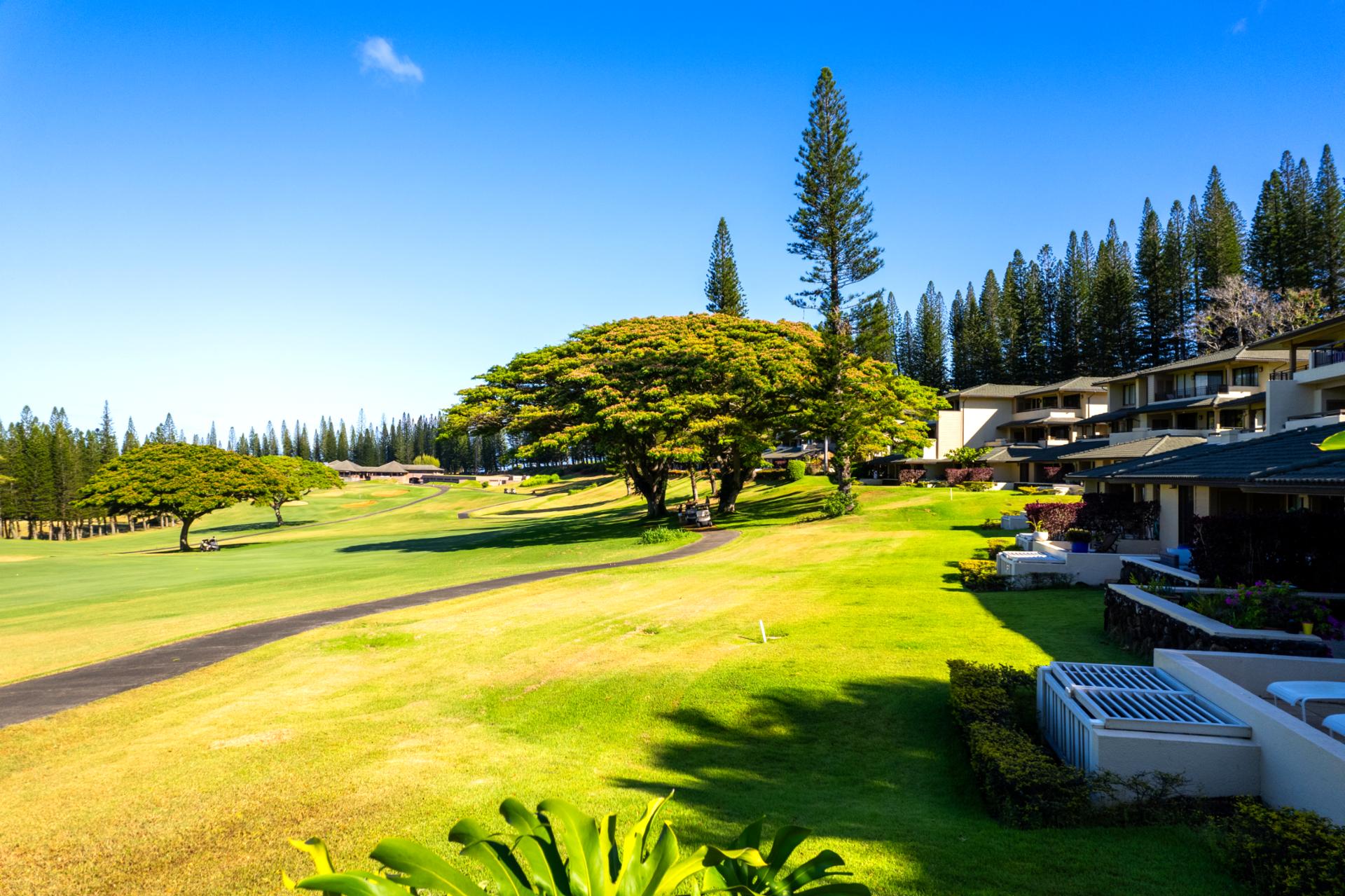 Every corner of the property reveals rich greenery and thoughtful design. The landscapes are a perfect complement to the luxurious villas.