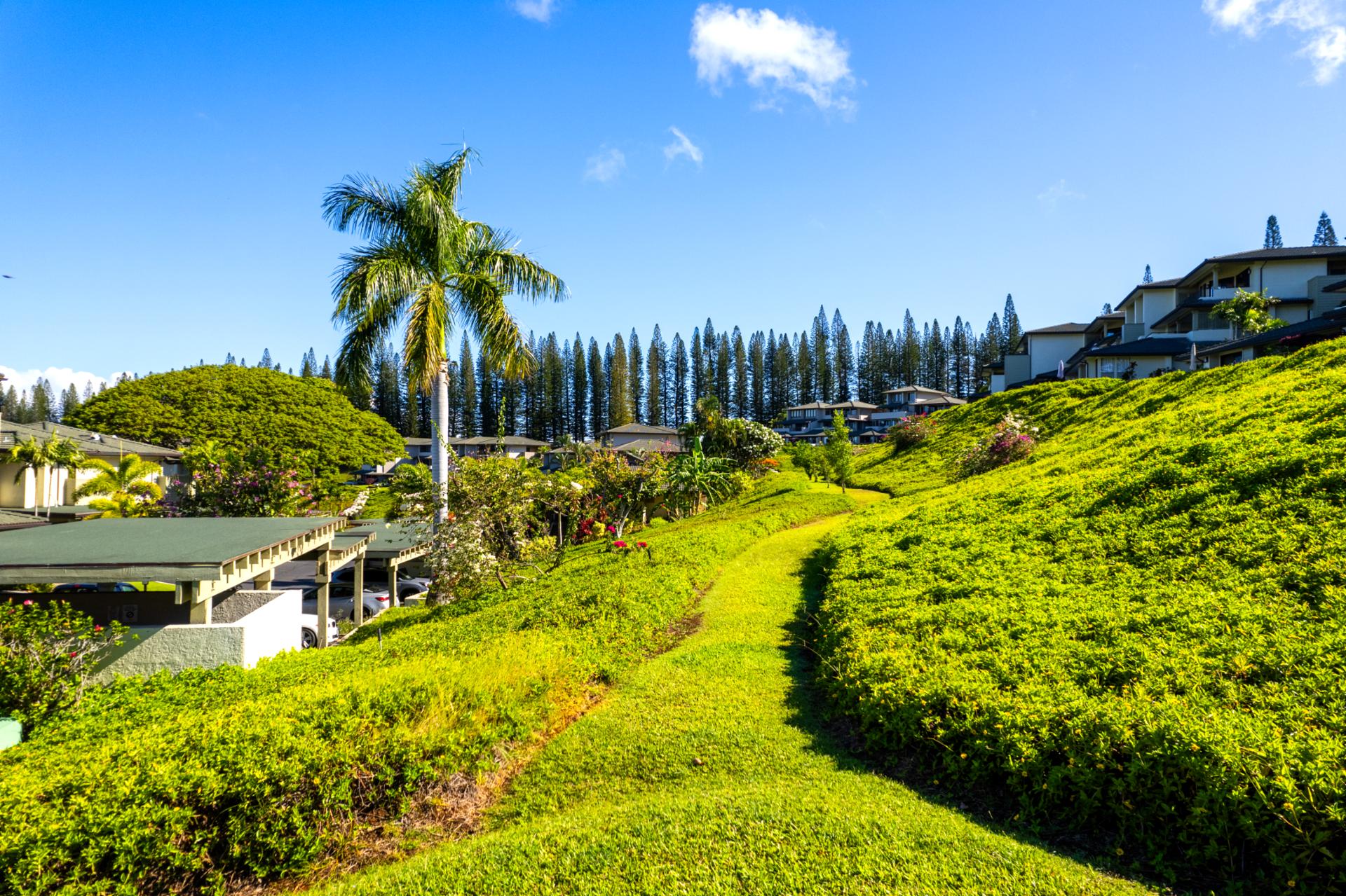 At Kapalua Golf Villas, nature’s artistry is on full display in the vibrant landscapes. Every season brings a new palette of colors and scents.

