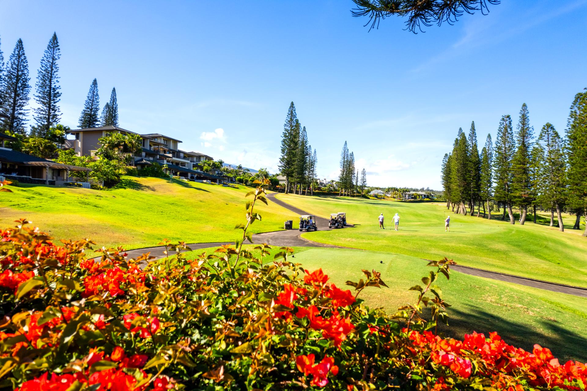 The garden paths wind through a variety of native plants, offering both beauty and tranquility. It’s easy to feel connected to nature at Kapalua Golf Villas.