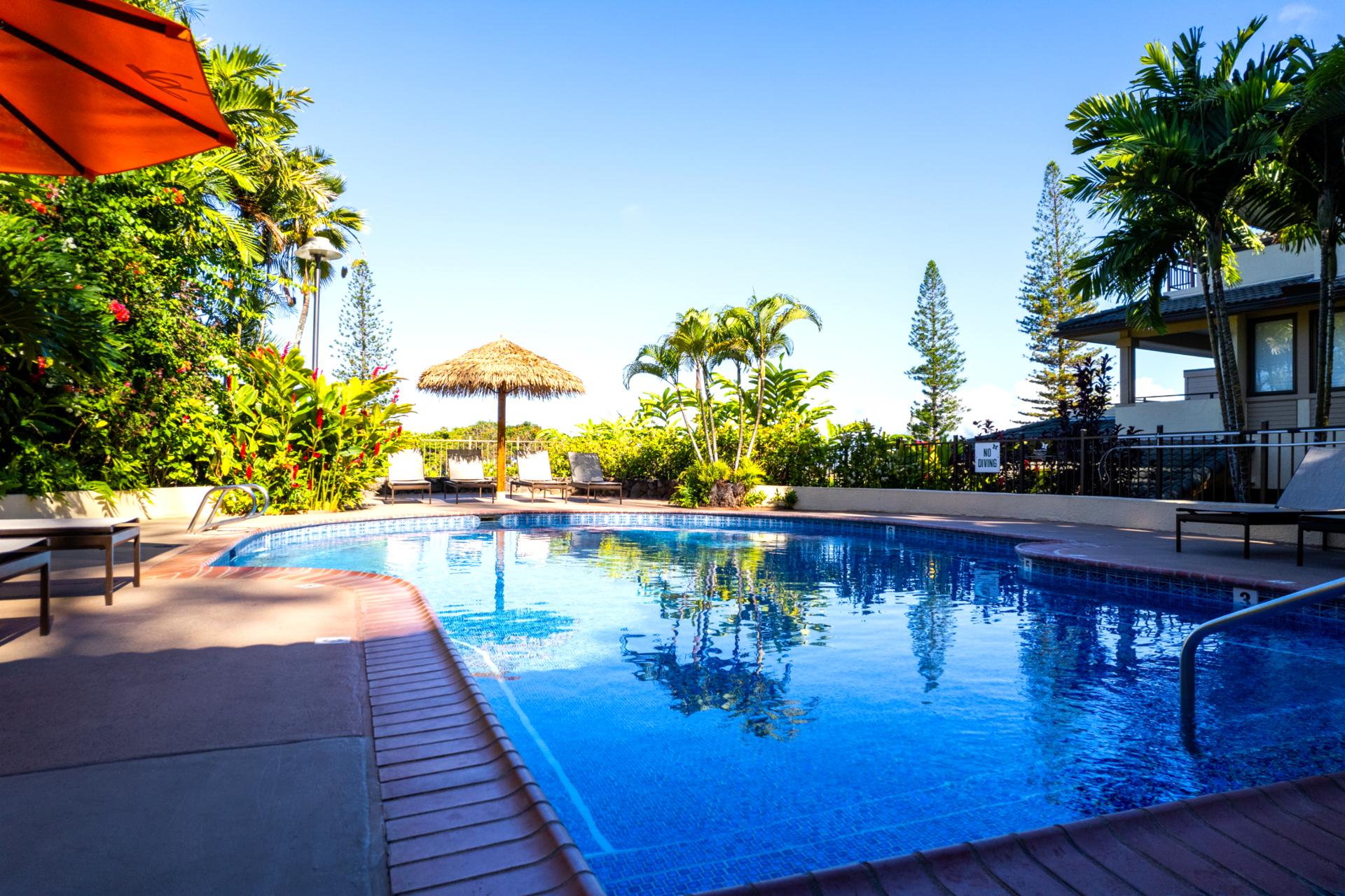 Palm trees sway gently around the shimmering pool, creating a peaceful tropical retreat. This is what island living dreams are made of.