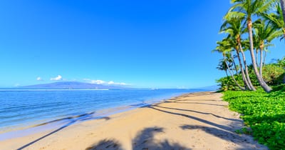 Wake up to oceanfront bliss at Lahaina Shores — pristine sands, turquoise waves & endless Maui sunshine await