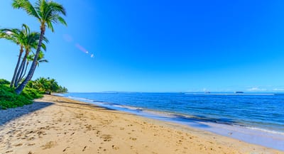 Stroll Lahaina Shores’ tranquil beachfront, with sweeping ocean views, swaying palms & vibrant island serenity