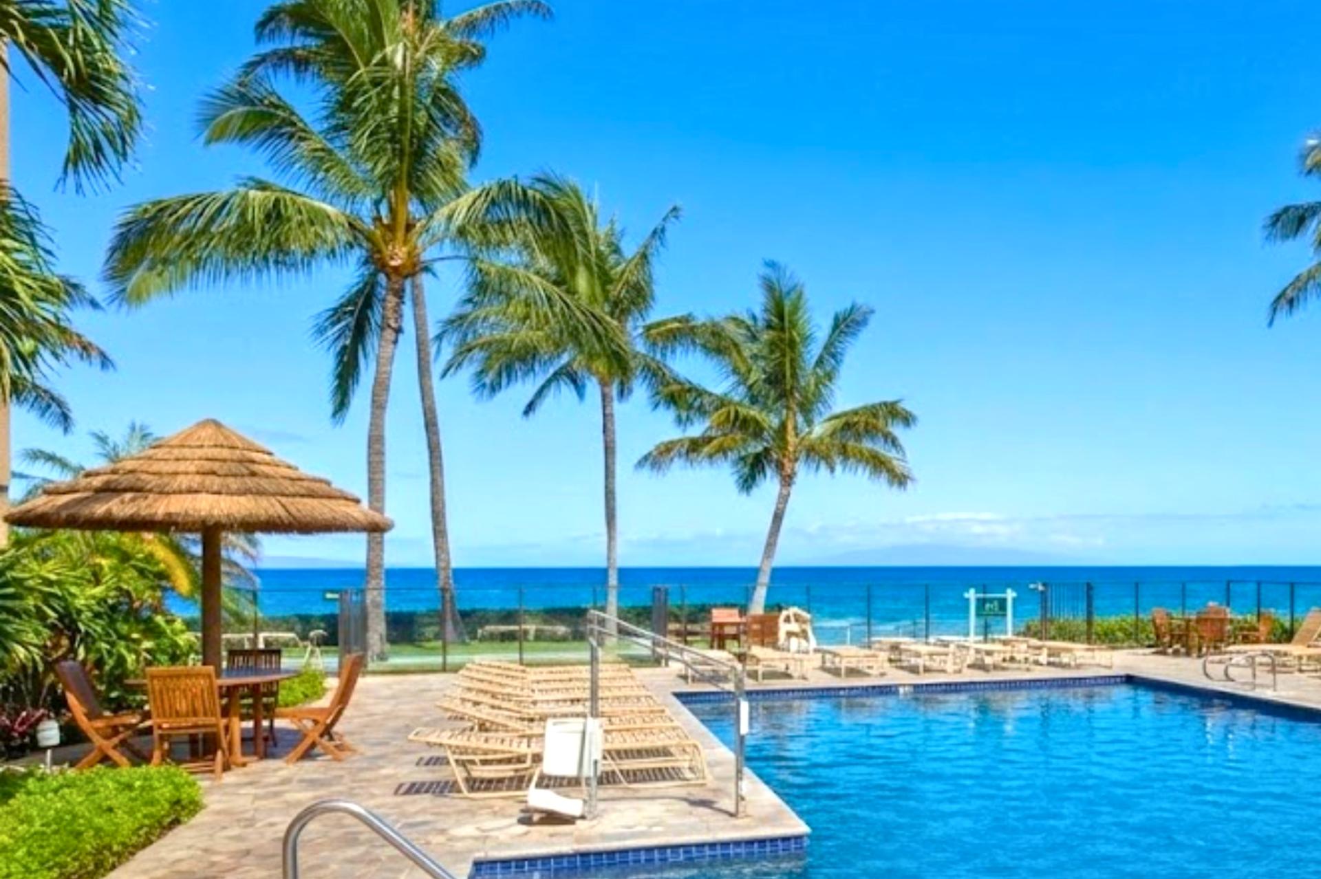 Enjoy the ocean views and swaying palm trees while cooling off in the pool.