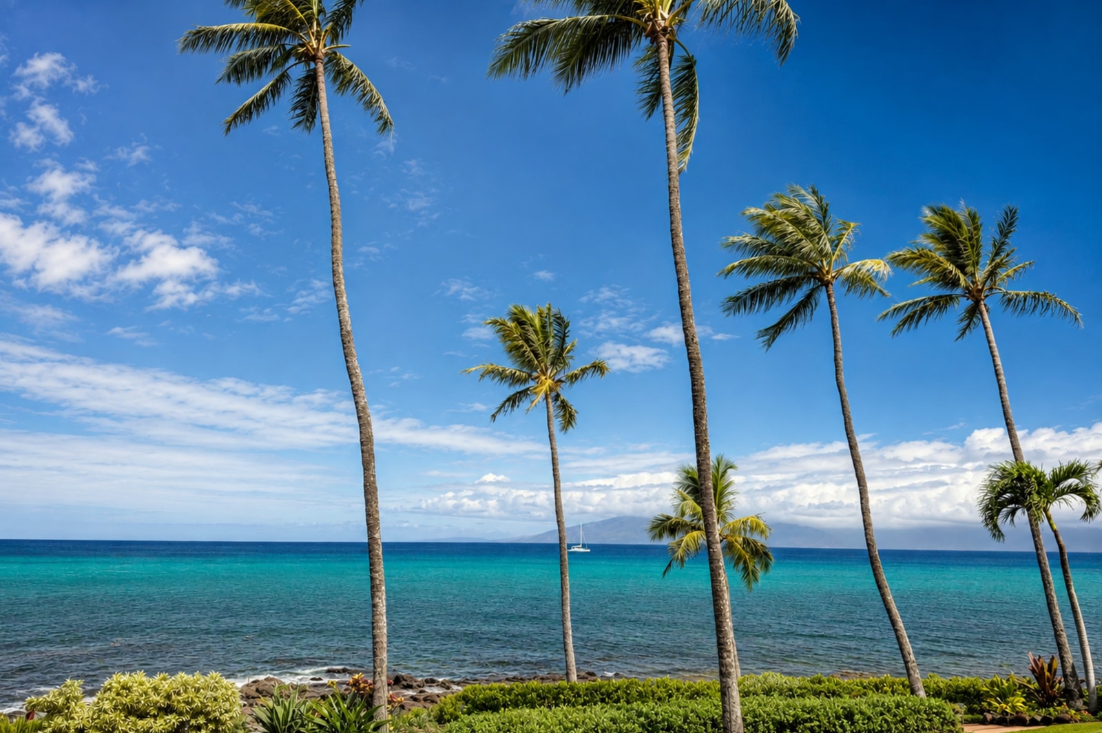 Mahina Surf