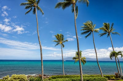 Ocean views from Mahina Surf — palm-framed sightlines across the channel toward West Maui, with sailboats often passing offshore