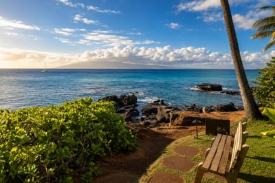 Evening light on the point at Mahina Surf — a bench overlooking the lava-rock shoreline, a favorite spot to watch the sun go down