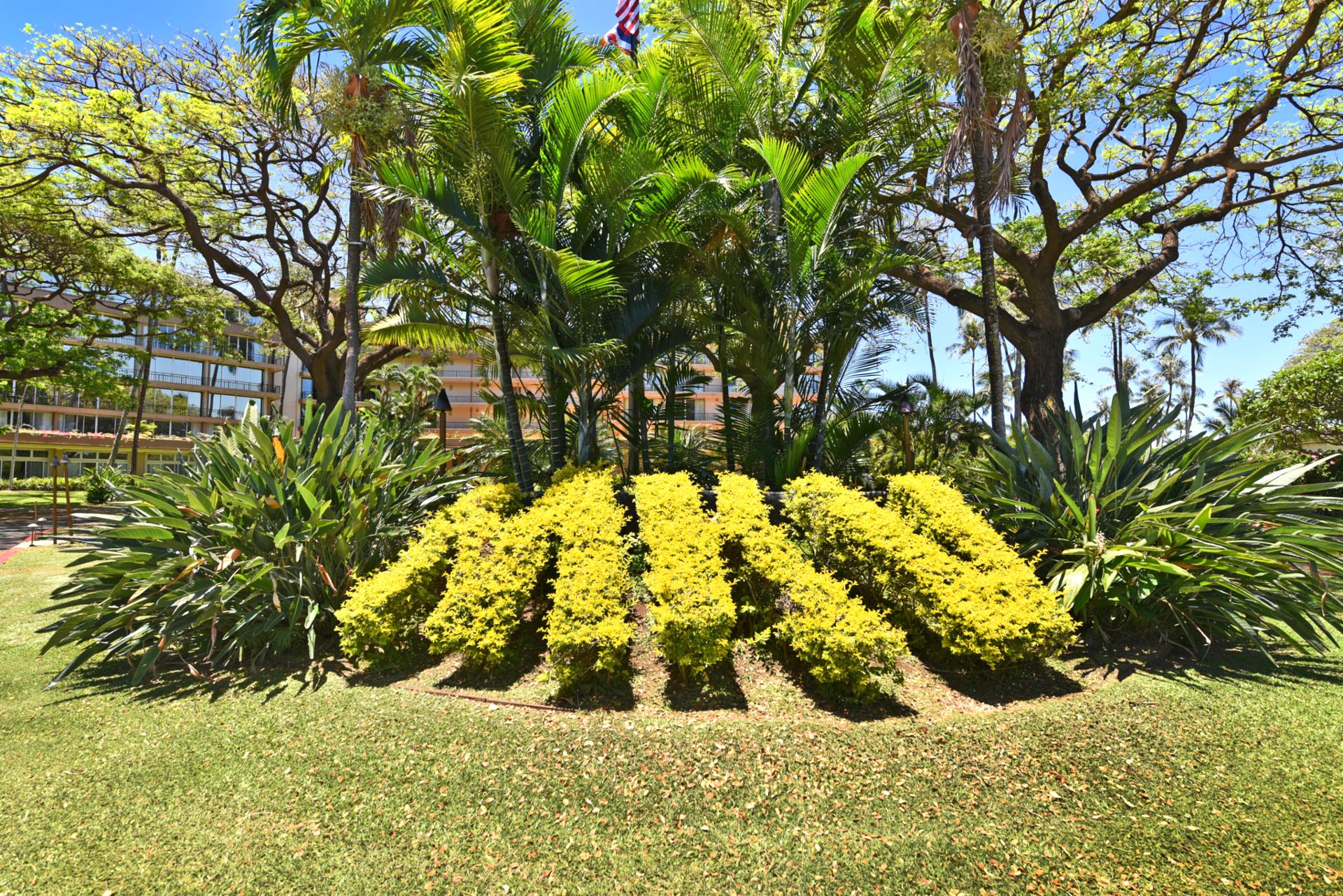 Sculpted tropical gardens with vibrant foliage & lush palms create a serene resort ambiance under island skies
