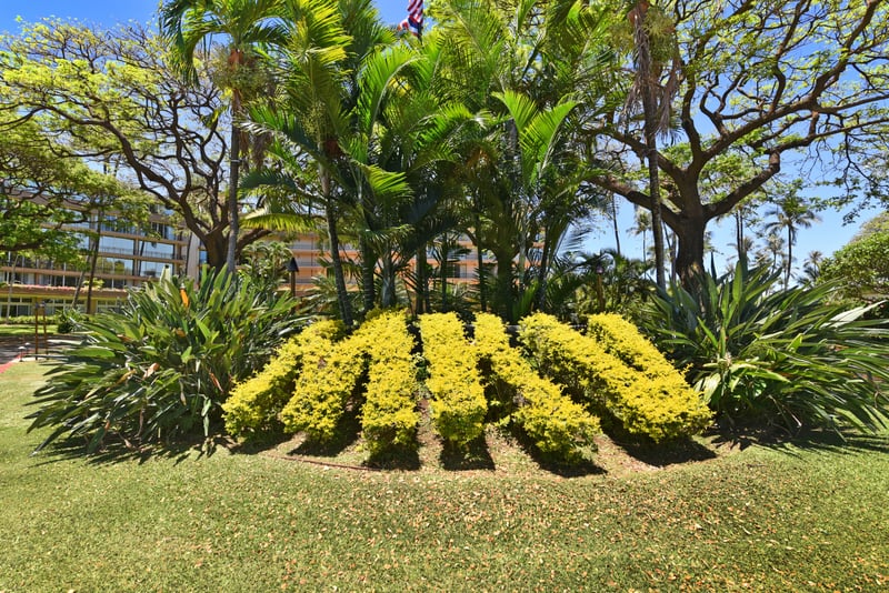 Sculpted tropical gardens with vibrant foliage & lush palms create a serene resort ambiance under island skies