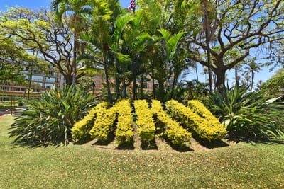 Sculpted tropical gardens with vibrant foliage & lush palms create a serene resort ambiance under island skies