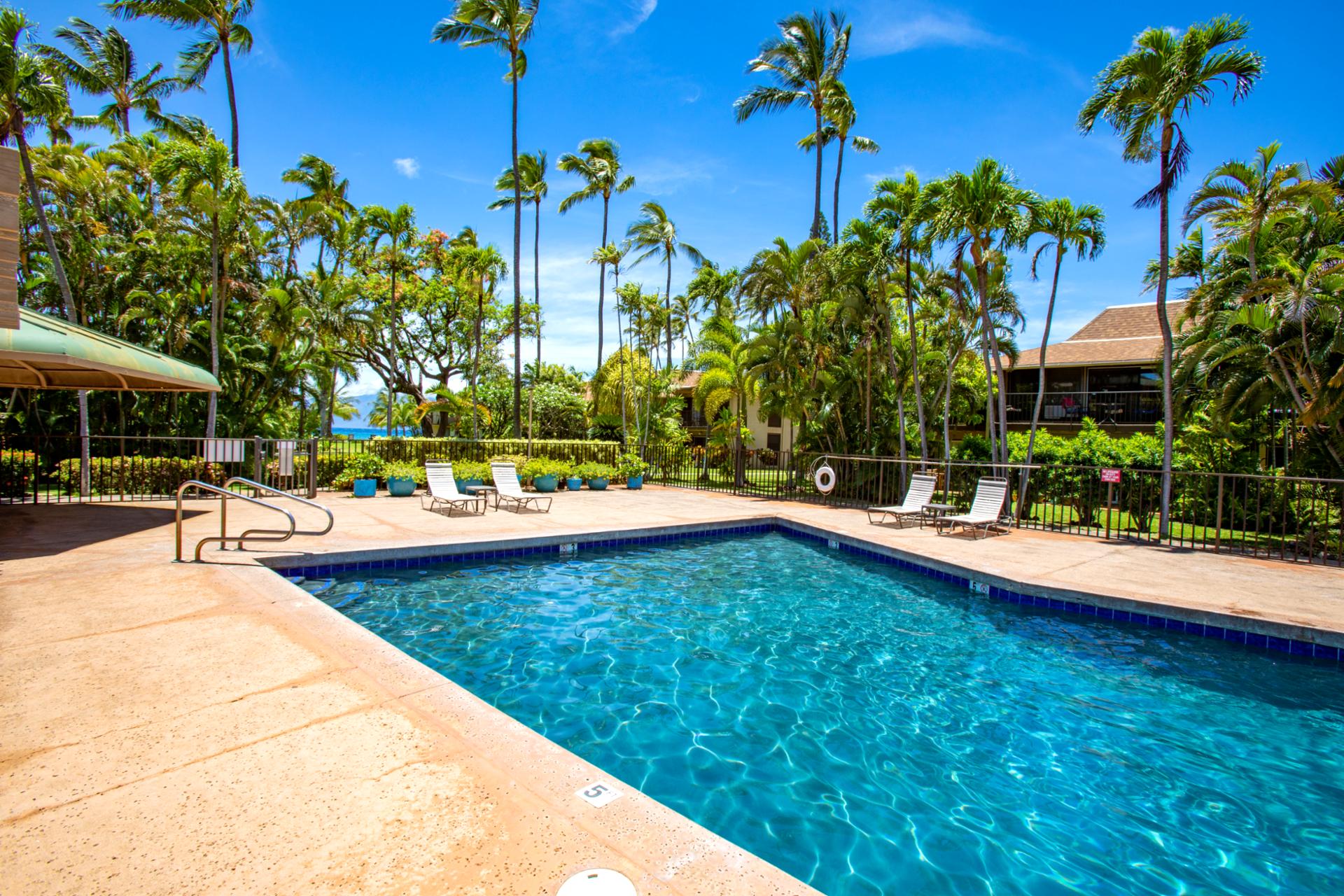 The sparkling pool lights up the night at Maui Sands, inviting evening swims under the stars. Experience island magic any time of day.