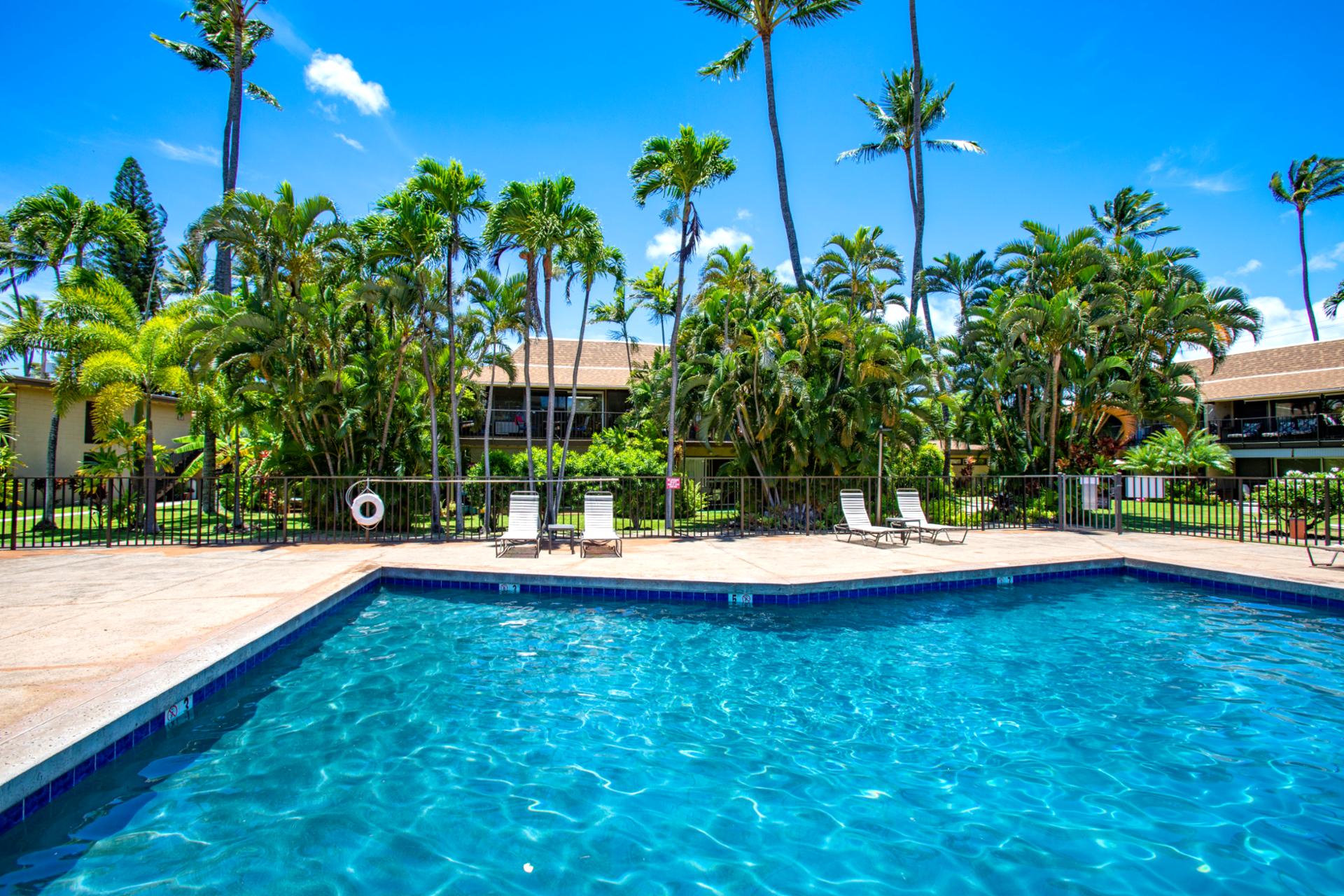 The sparkling blue pool at Maui Sands is surrounded by comfortable loungers for ultimate relaxation. Soak up the sun or take a refreshing dip anytime you like.