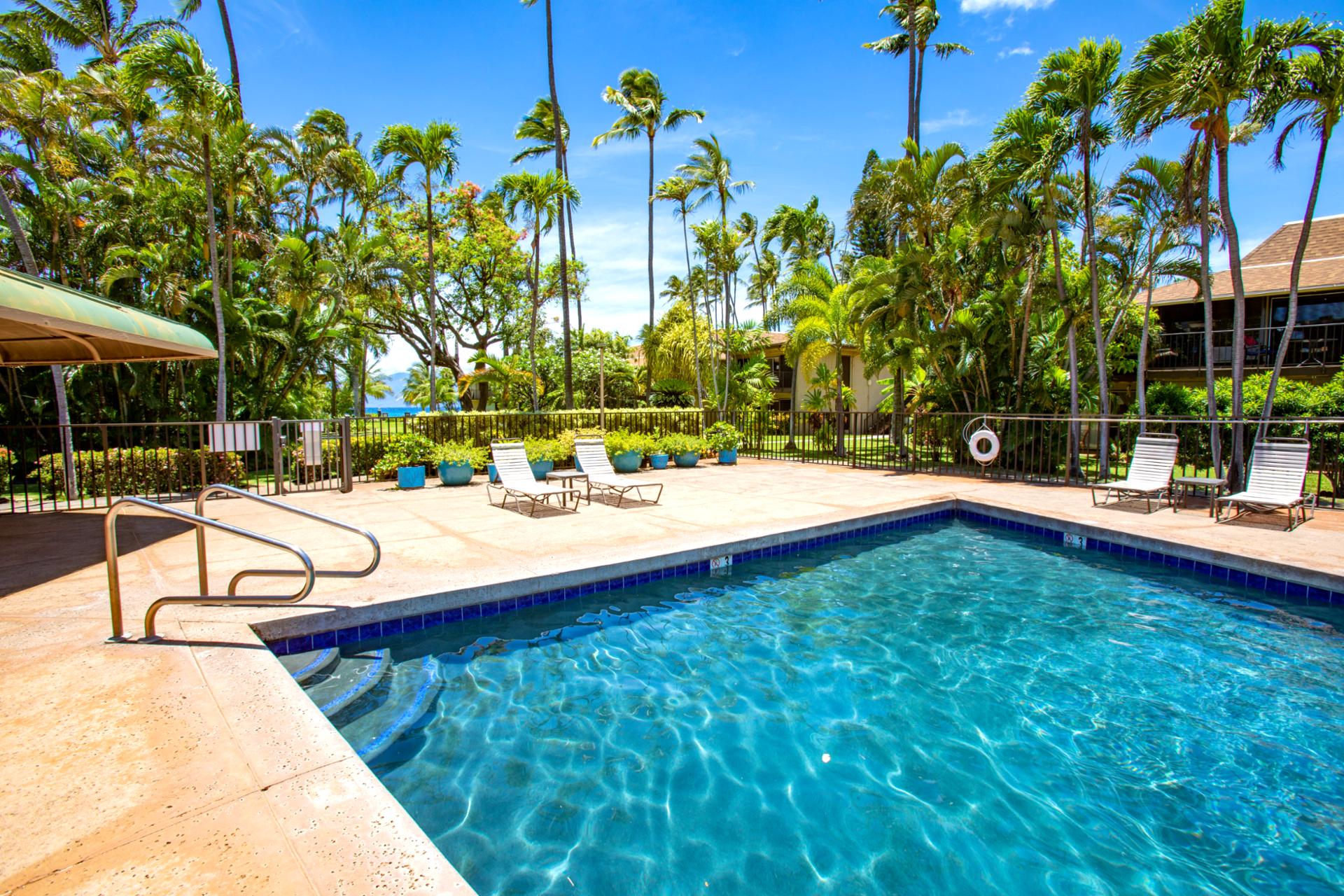 Maui Sands’ beachfront pool offers a perfect place to cool off and soak up the Hawaiian sun. Surrounded by swaying palms, it’s pure paradise in every direction.