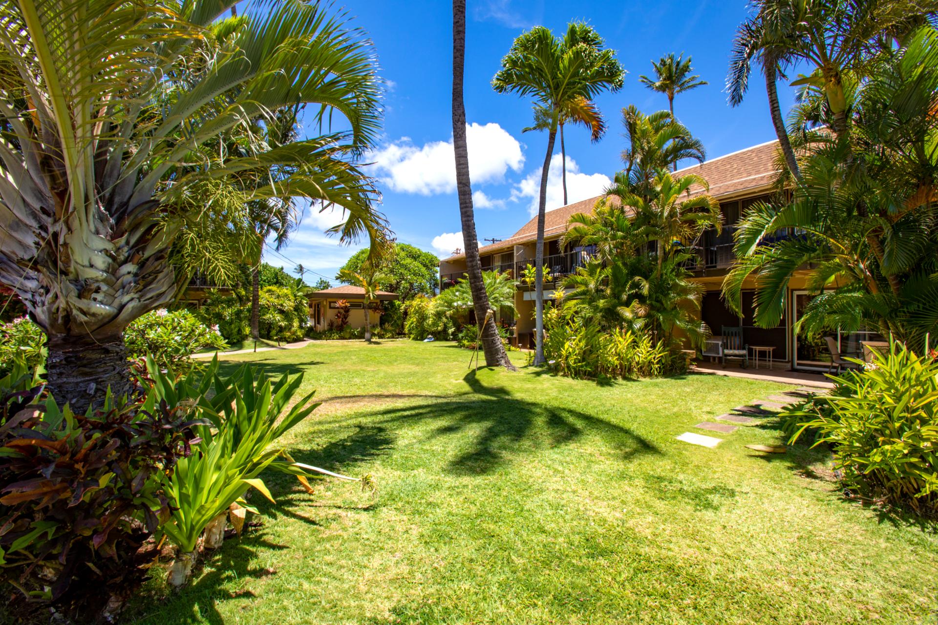 The tropical gardens at Maui Sands are home to colorful birds and butterflies. Nature lovers will find endless joy exploring these lush spaces.