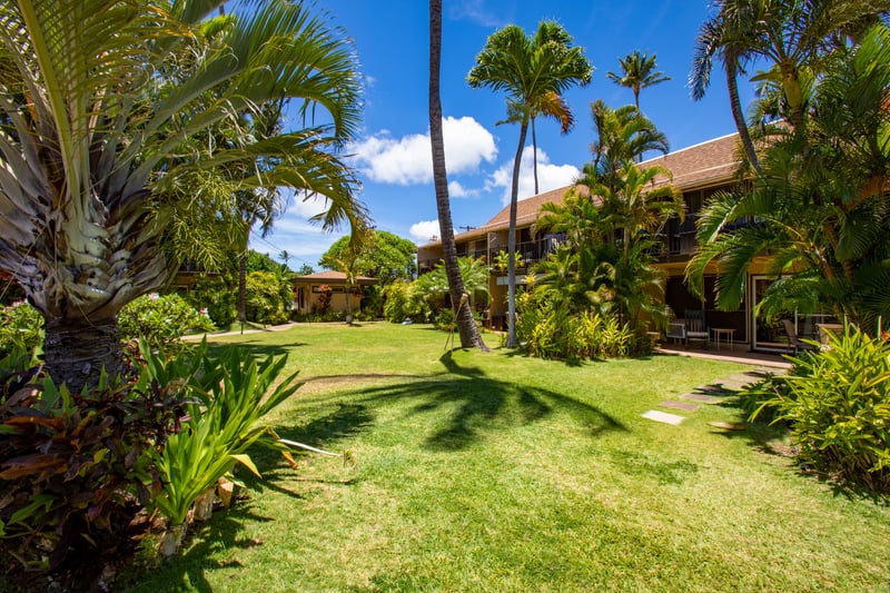 The tropical gardens at Maui Sands are home to colorful birds and butterflies. Nature lovers will find endless joy exploring these lush spaces.