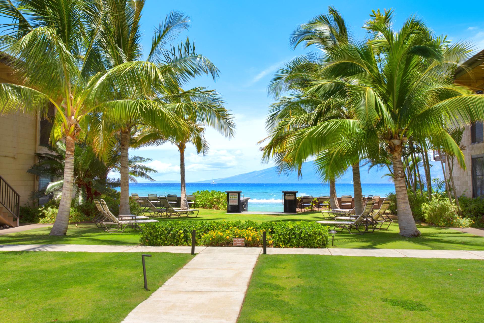 Maui Sands’ beachfront location means you’re just steps from the soft sands and sparkling waters. Enjoy early morning walks or sunset views anytime you like.