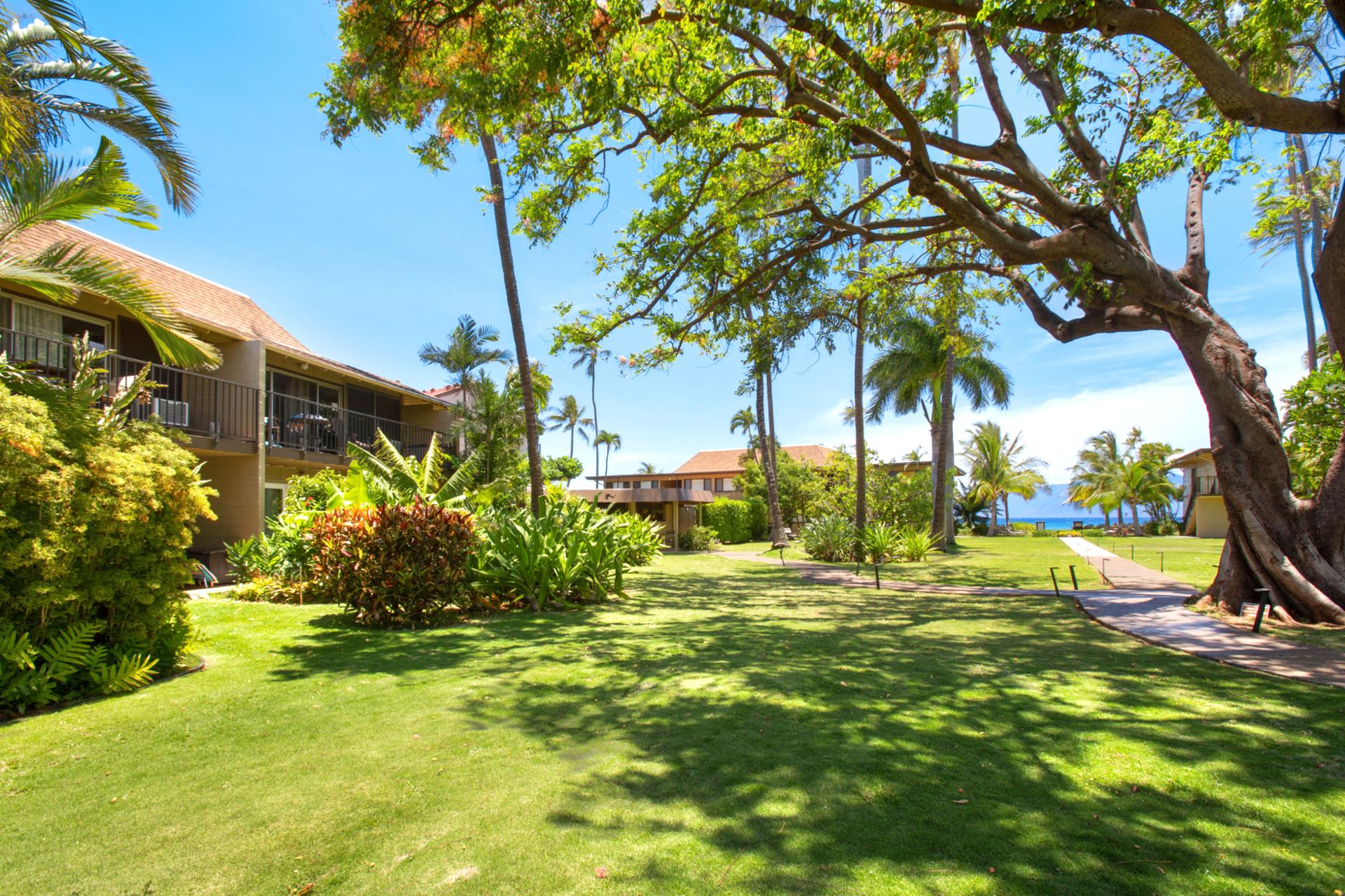 The tropical landscaping around Maui Sands creates a vibrant and inviting environment. Palm trees, colorful flowers, and lush greenery set the perfect island scene.